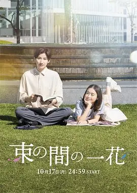 《一霎一花》：极致浪漫的瞬间，诗意绽放的生命之歌