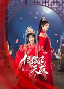 天作之合的浪漫之旅：电影《佳偶自天成》如何诠释真爱的奇妙邂逅